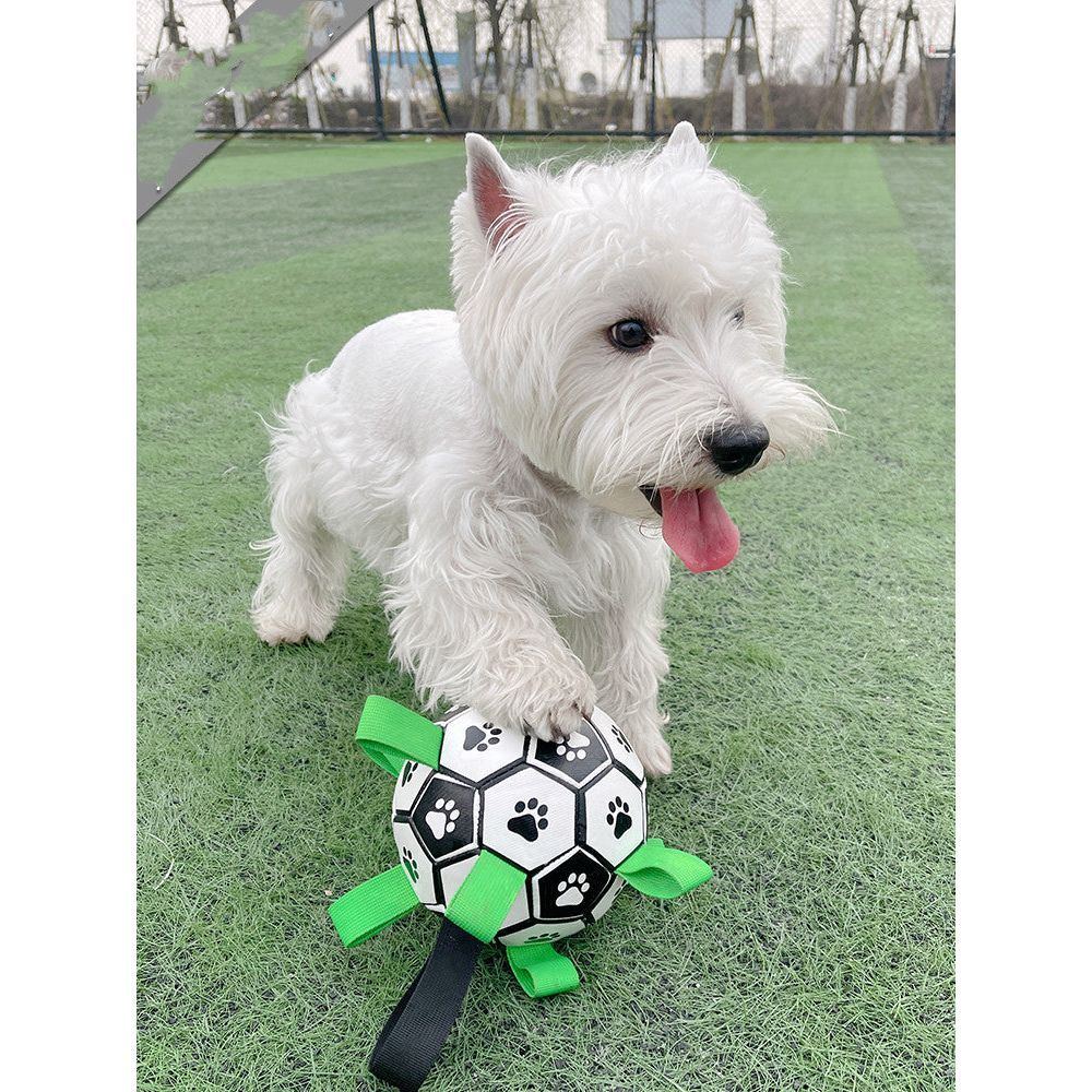 Dog Toy Lovely Paw Football Toys For Puppy Large Dogs
