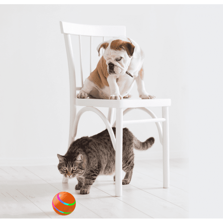 Pet New Cat Wicked Ball Toy Intelligent Ball USB Cat Toys Self Rotating Ball Automatic Rotation Ball