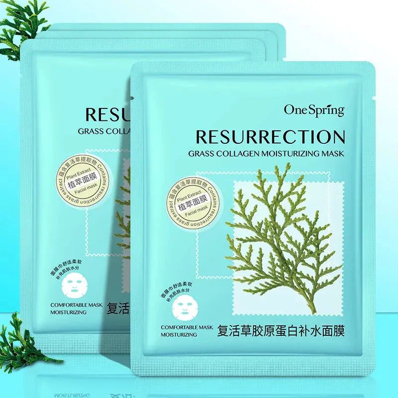 20Pcs Face Mask Combination Camellia Nicotinamide Facial Mask Moisturizing Oil Control Shrink Pores Face Sheet Mask Skin Care