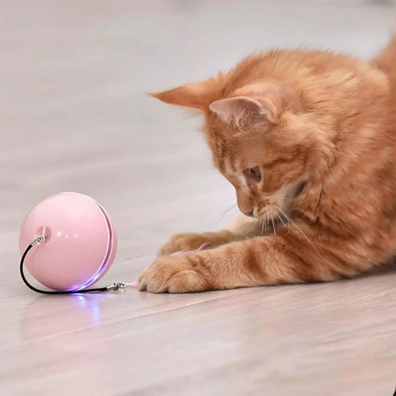 USB Intelligent Interactive Cat Toy Self Rotating Ball Automatic Rotation Ball Feather Toy LED Magic Roller Ball For Cat Dog Kid - Jointcorp