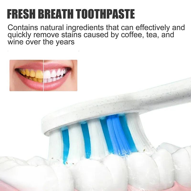 Sp 4 Probiotic Caries Whitening Toothpaste Cleaning Teeth Repair Cavites Cleaner Plaque Remover Fresh Breath Dental Gum Care