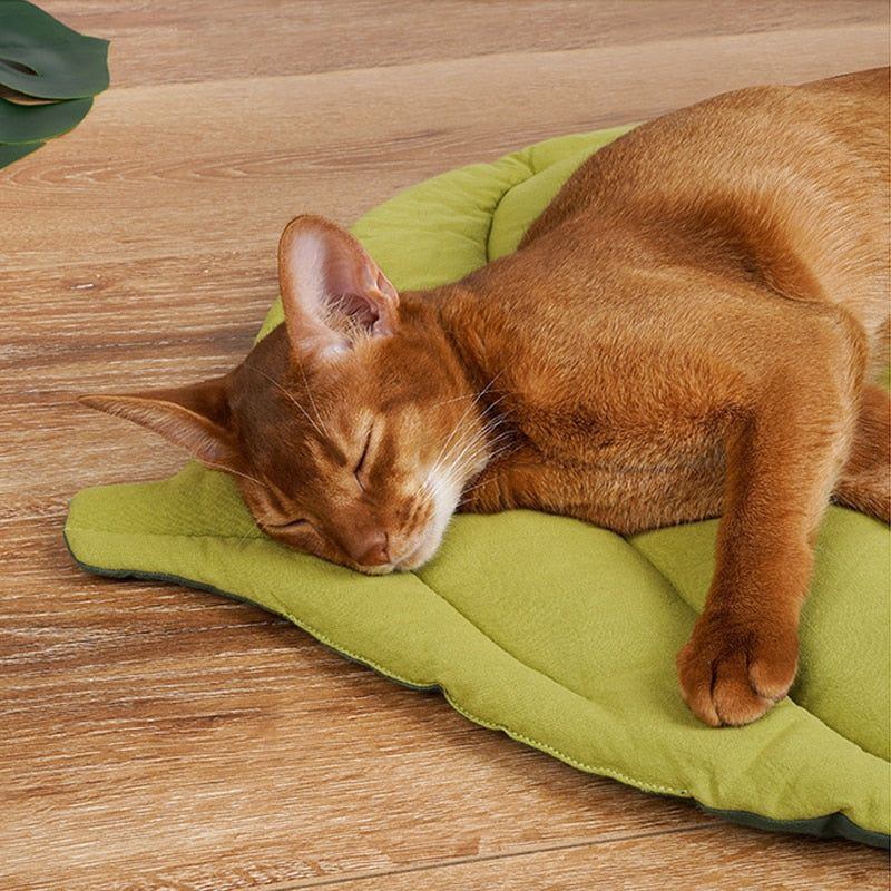 Cat Bed Mat Leaf Shape Soft Dog Bed Mat Soft Crate Pad, Machine Washable Mattress for Medium Small Dogs and Cats Kennel Pad - Jointcorp