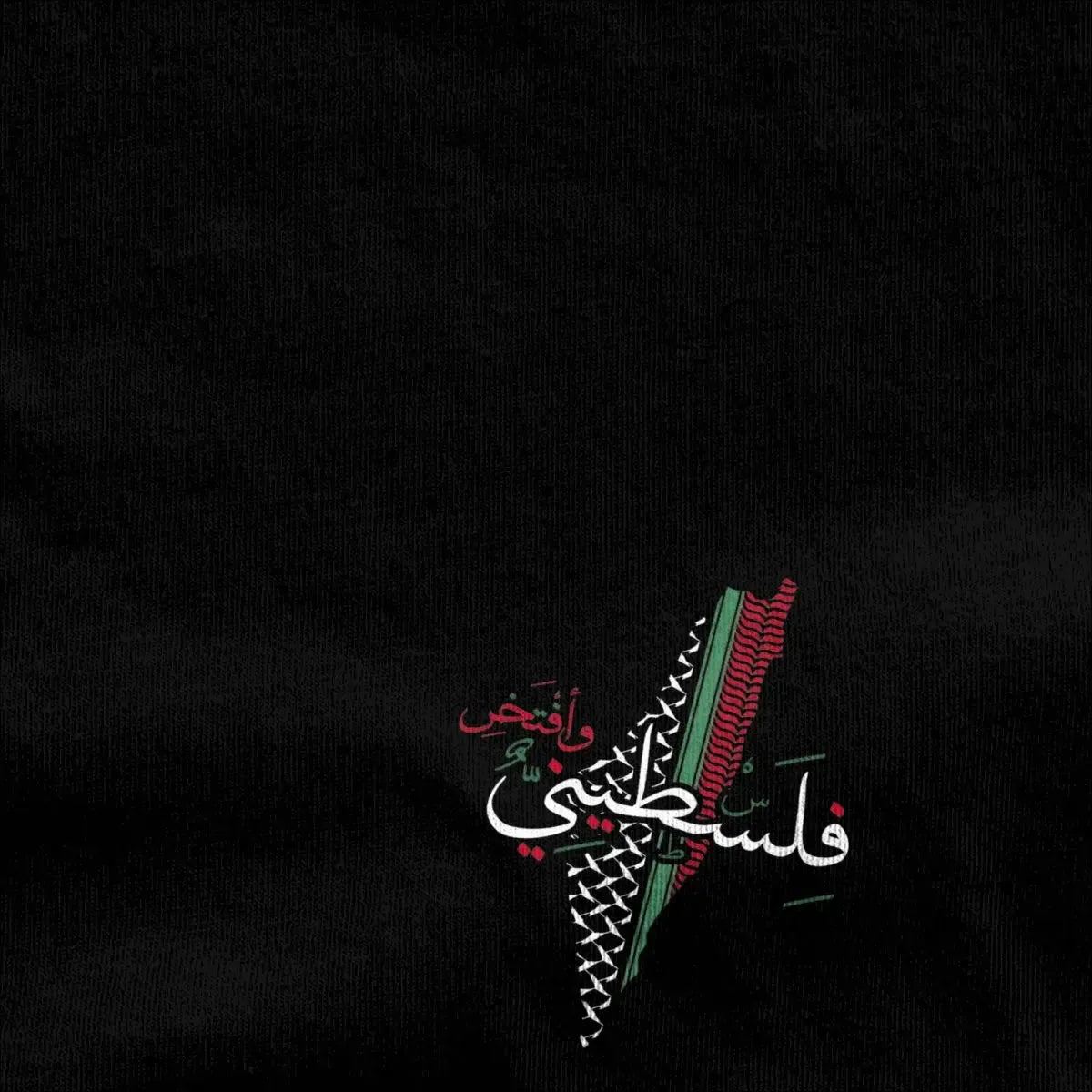 Man T-Shirt Palestinian T-Shirts Hip Hop Palestine Flag Summer Tees Aesthetic Custom Logo 100% Cotton Clothes Gift