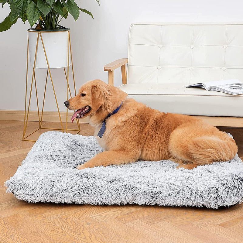 Plush Cat Beds Dog Bed Mat Removable for Cleaning Puppy Cushion Super Soft Claming Dog Beds Pet Bed for Small Medium Large Dogs - Jointcorp