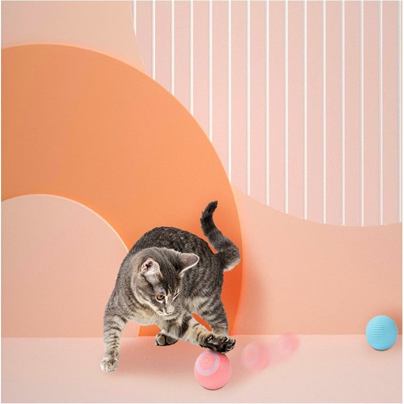 Smart Cat Toys Automatic Rolling Cat Ball Electric Ball Cat Interactive Toy For Cats Training Self-moving Kitten Toy Accessories - Jointcorp