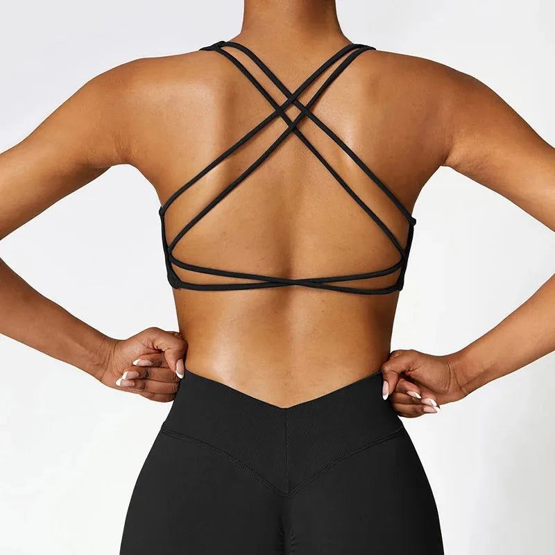 49784411128100|49784411160868|49784411488548