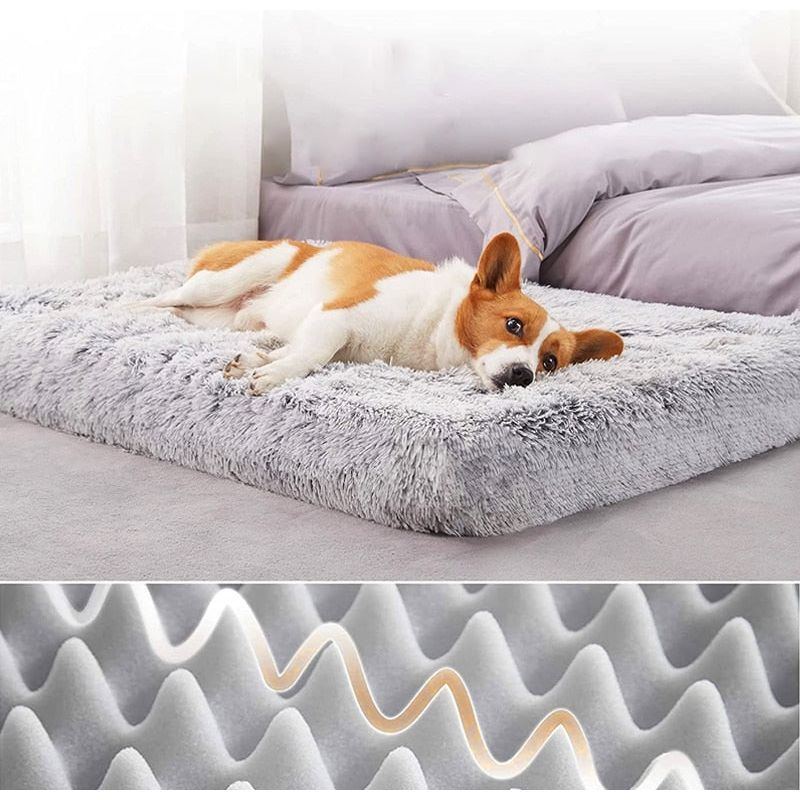 Plush Cat Beds Dog Bed Mat Removable for Cleaning Puppy Cushion Super Soft Claming Dog Beds Pet Bed for Small Medium Large Dogs - Jointcorp
