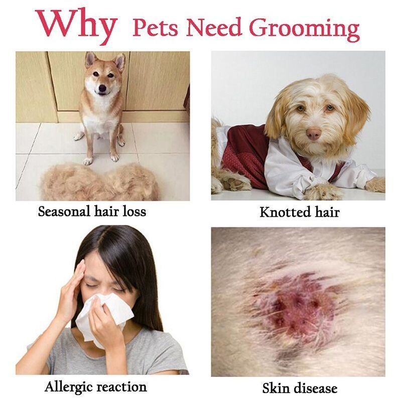 Professional Pet Deshedding Brush Dog Hair Remover Pet Fur Knot Cutter Puppy Cat Comb Brushes Dogs Grooming Shedding Supplies