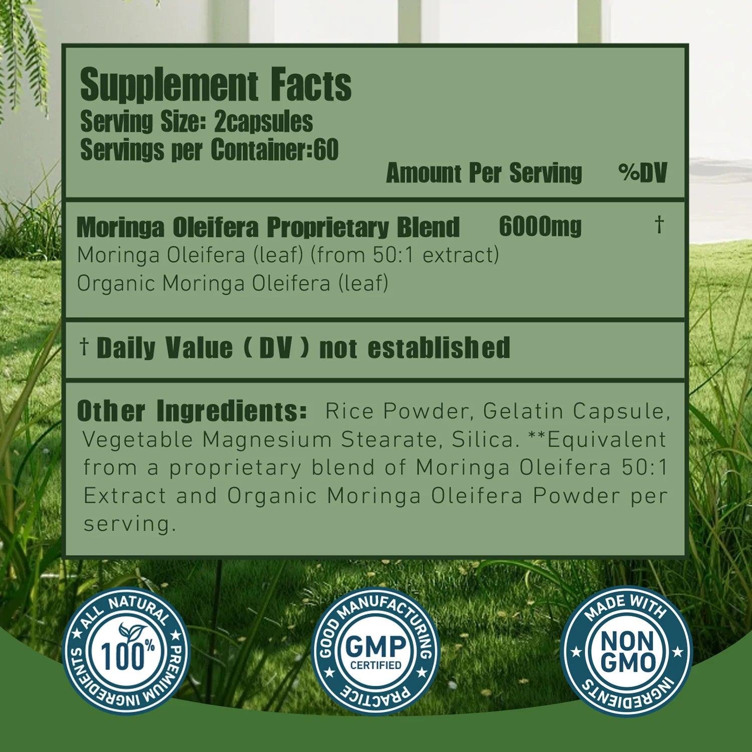 Moringa - Boosts Metabolism, Supports Weight Management and Gut Health