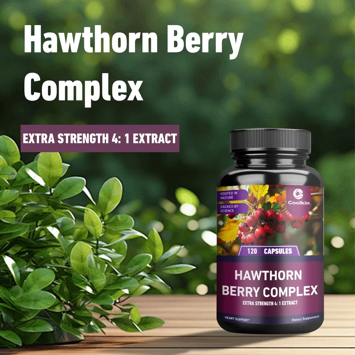 Hawthorn Extract - Promotes Healthy Blood Circulation, Maintains Normal Blood Pressure Levels, Non-GMO