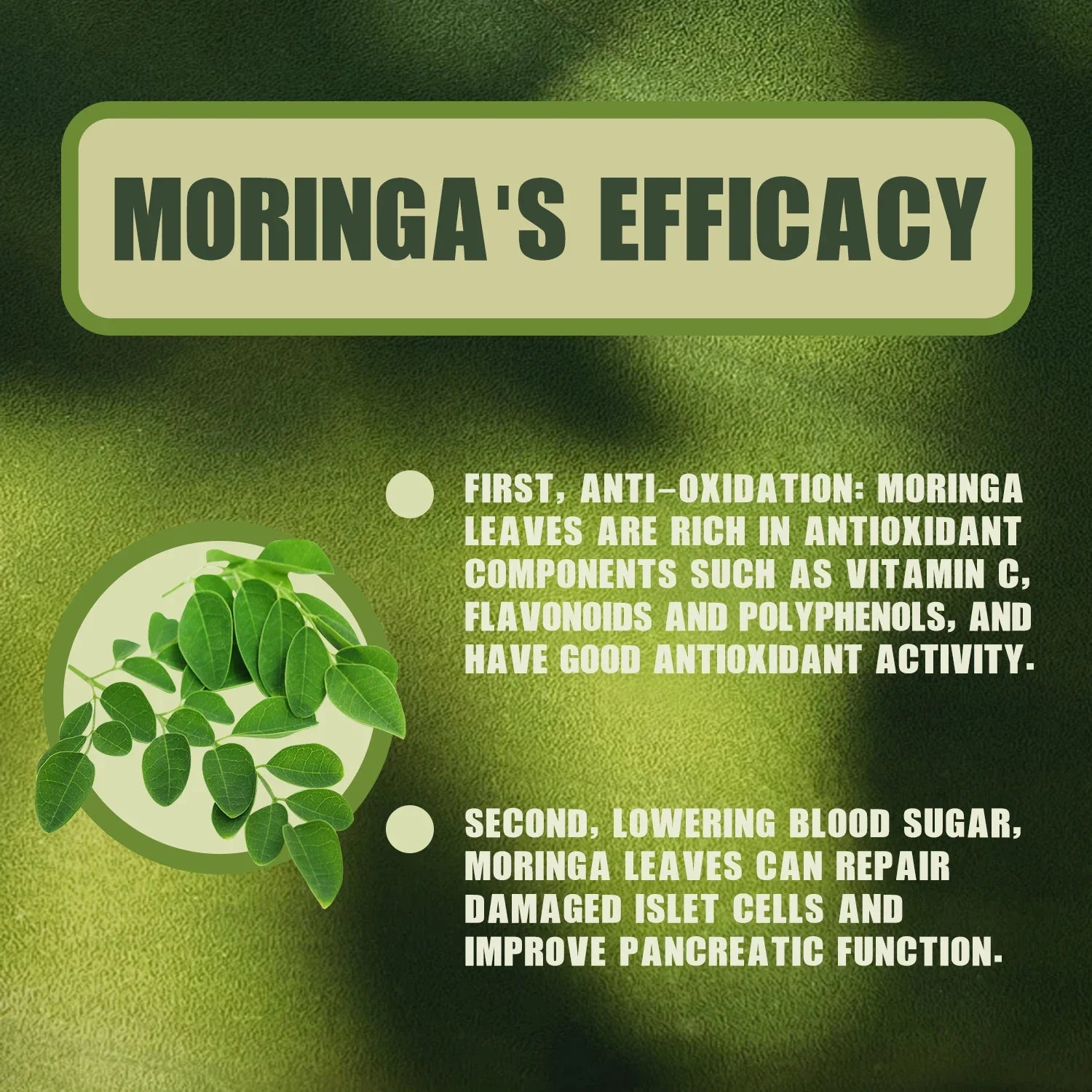 Moringa - Boosts Metabolism, Supports Weight Management and Gut Health