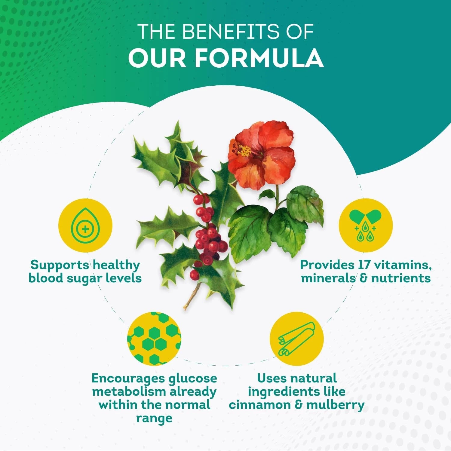 Blood Sugar Support - Glucose Balance - Alpha Lipoic Acid, Cinnamon, Heart Health, Weight Management
