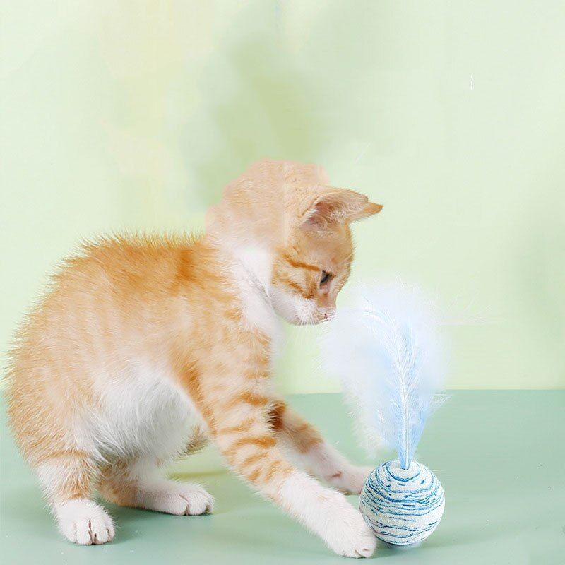Cat toy Ball Feather Funny Cat Toy Star Ball Plus Feather Foam Ball Throwing Toys Interactive Plush Toys Pet Supplies katten toy - Jointcorp