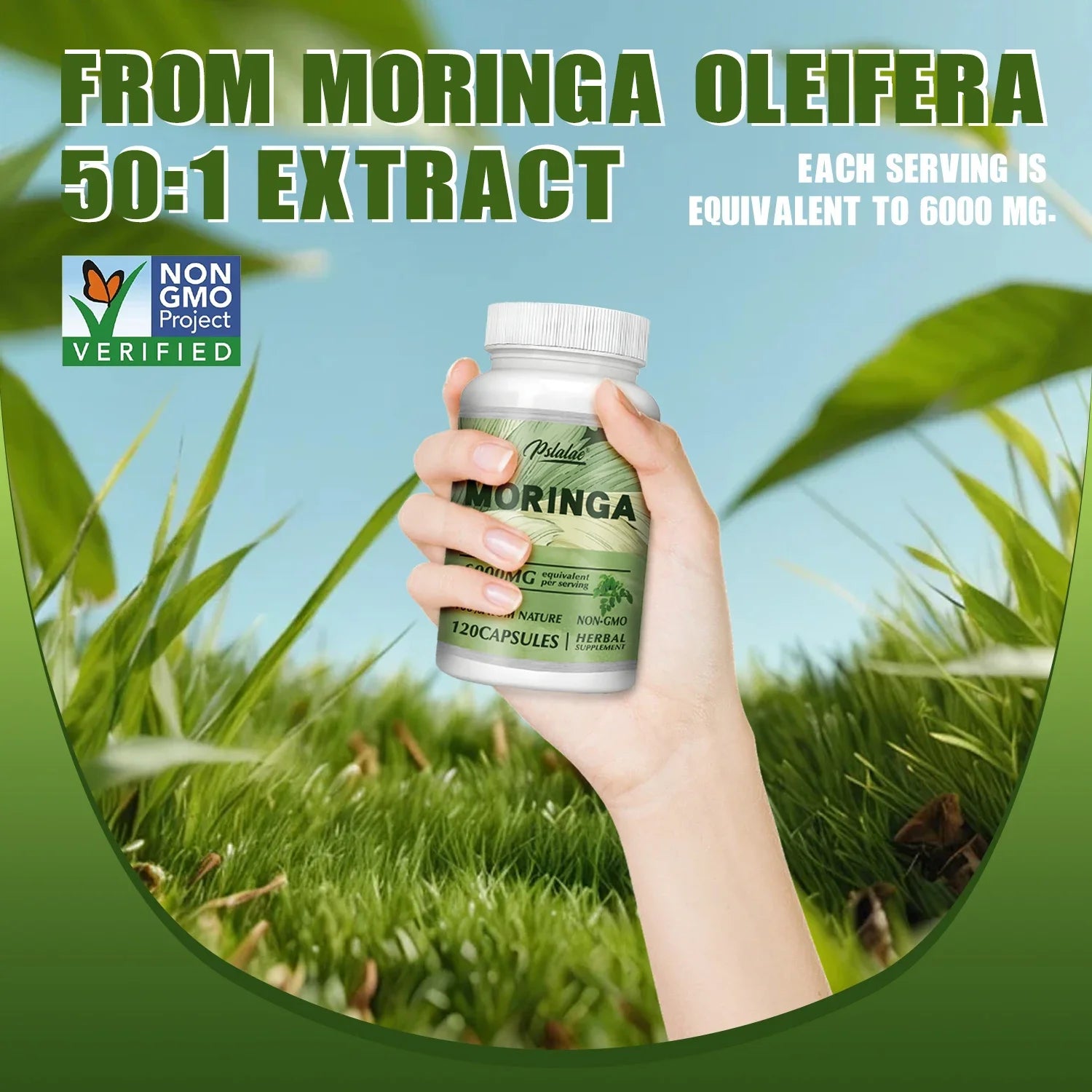 Moringa - Boosts Metabolism, Supports Weight Management and Gut Health
