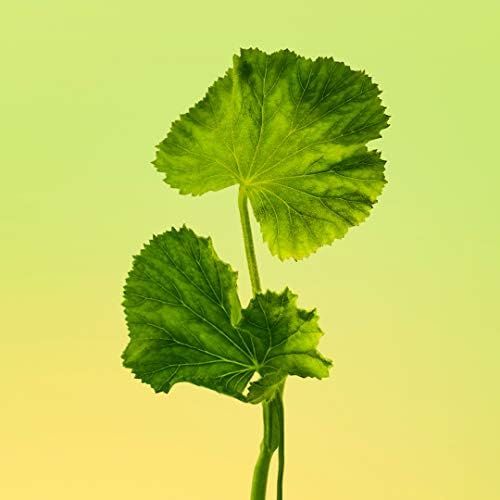 Calvin Klein Eternity for Men, 50 ml - EDT Spray