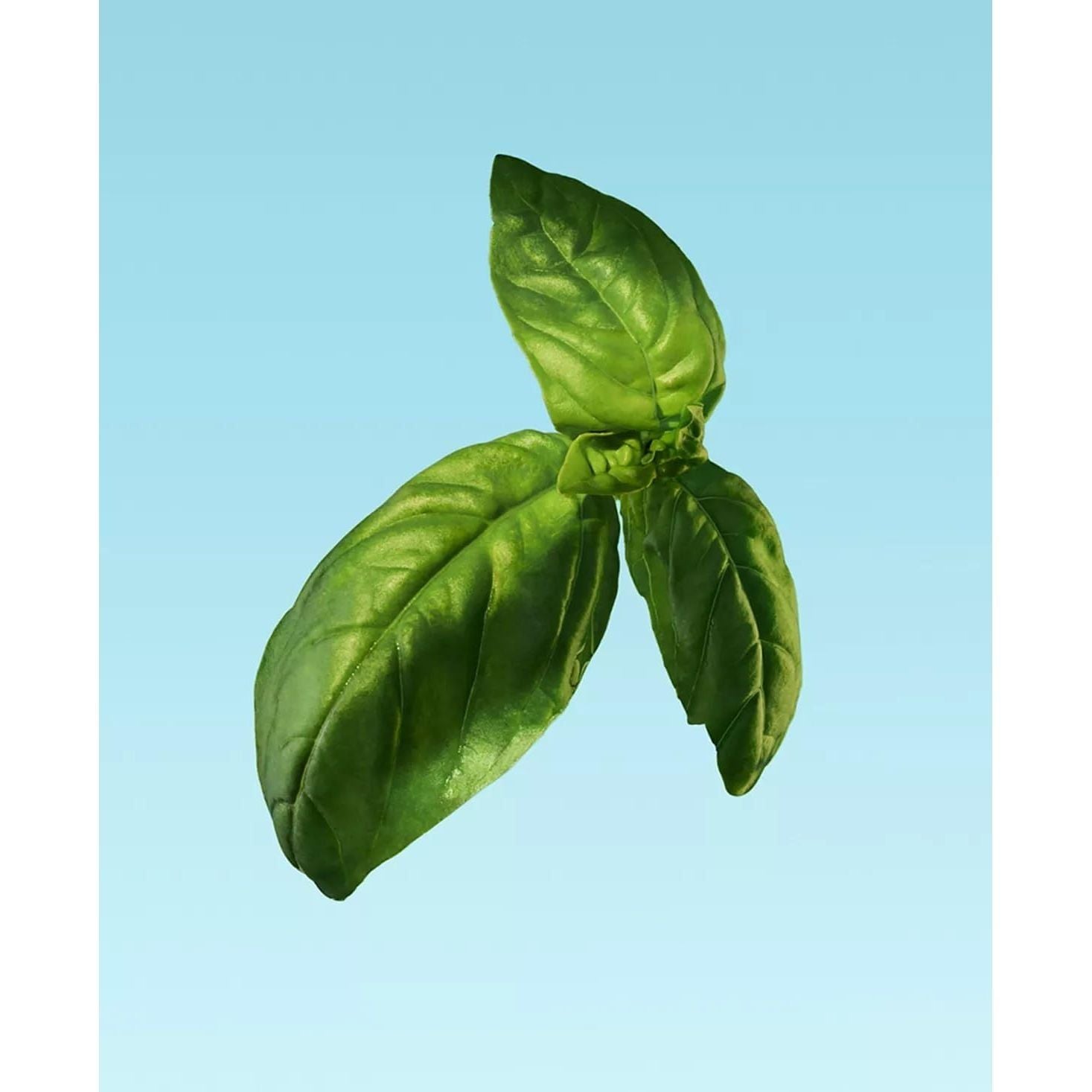 Calvin Klein Eternity Aqua Perfume for Men Eau De Toilette 200ML