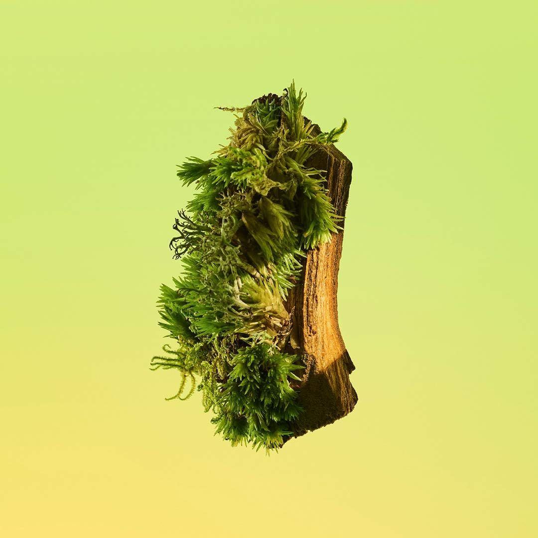 Calvin Klein Eternity for Men, 50 ml - EDT Spray