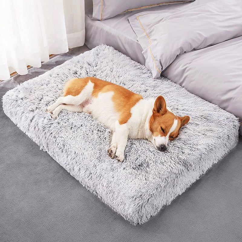 Plush Cat Beds Dog Bed Mat Removable for Cleaning Puppy Cushion Super Soft Claming Dog Beds Pet Bed for Small Medium Large Dogs - Jointcorp
