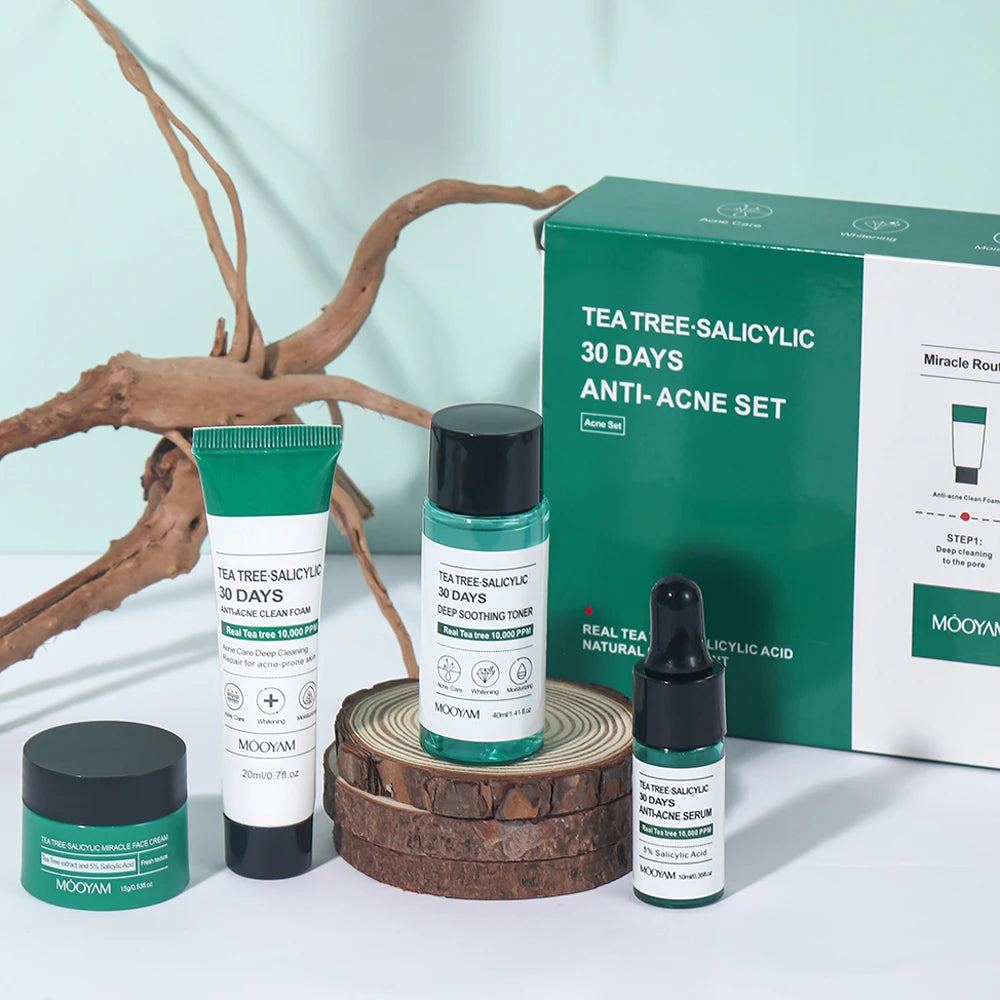 Tea Tree Salicylic Skincare Kit Facial Cleanser Toner Serum Hyaluronic Acid Cream Face Care Gift Set