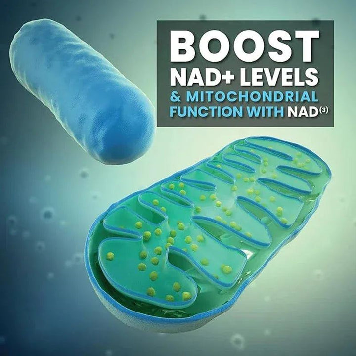 NAD Capsules Supplement, Liposomal NAD+ supplement - Aging Defense, Cellular Energy, Heart & Brain Function