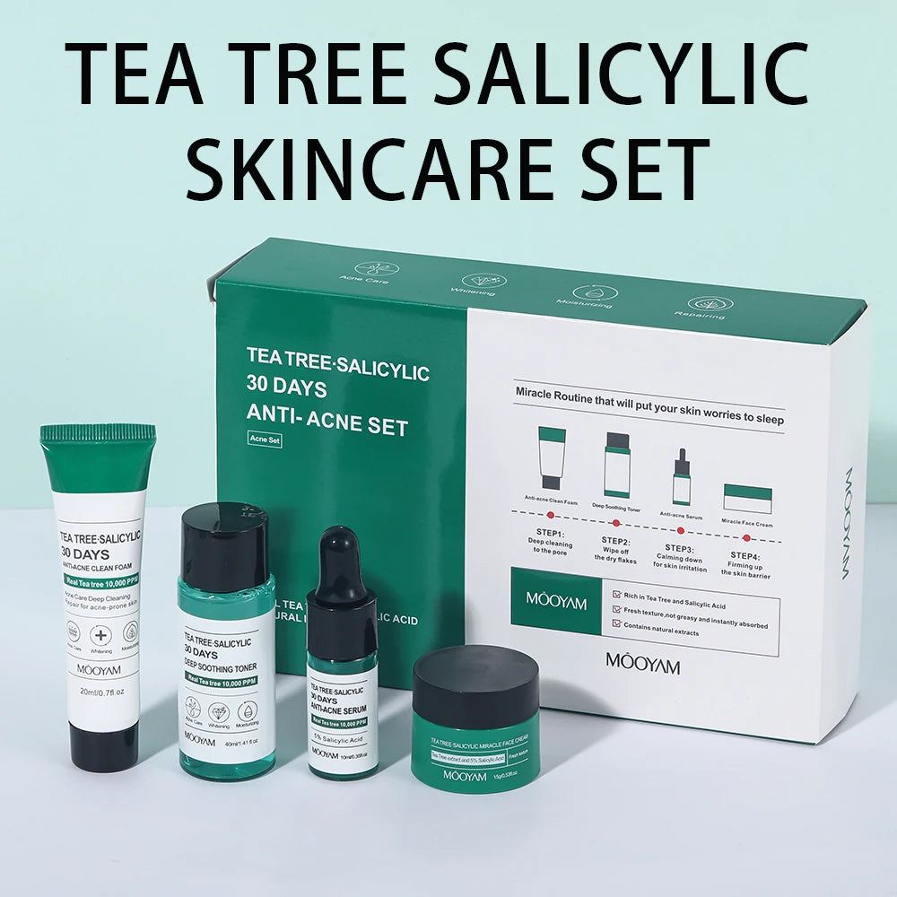 Tea Tree Salicylic Skincare Kit Facial Cleanser Toner Serum Hyaluronic Acid Cream Face Care Gift Set