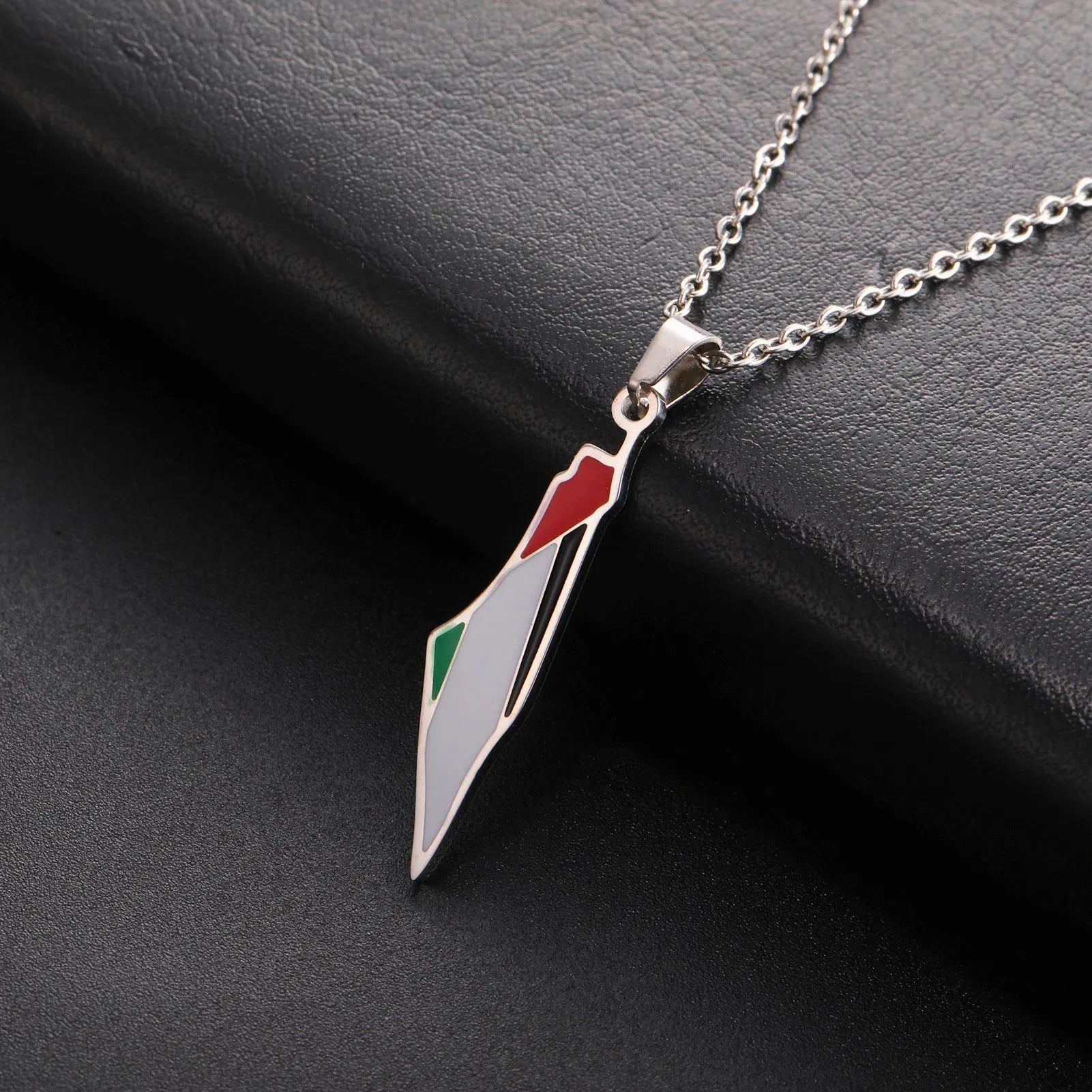 Lucktune Palestine Flag Map Enamel Pendant Necklace for Women Men Stainless Steel Map Geography Chain Necklace Jewelry Gift New