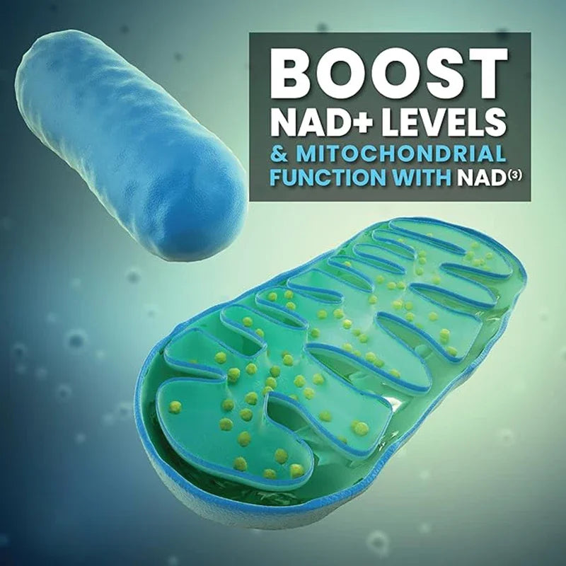 NAD Supplement, Liposomal NAD+ supplement - Aging Defense, Cellular Energy, Heart & Brain Function,Longevity, 120 Capsules