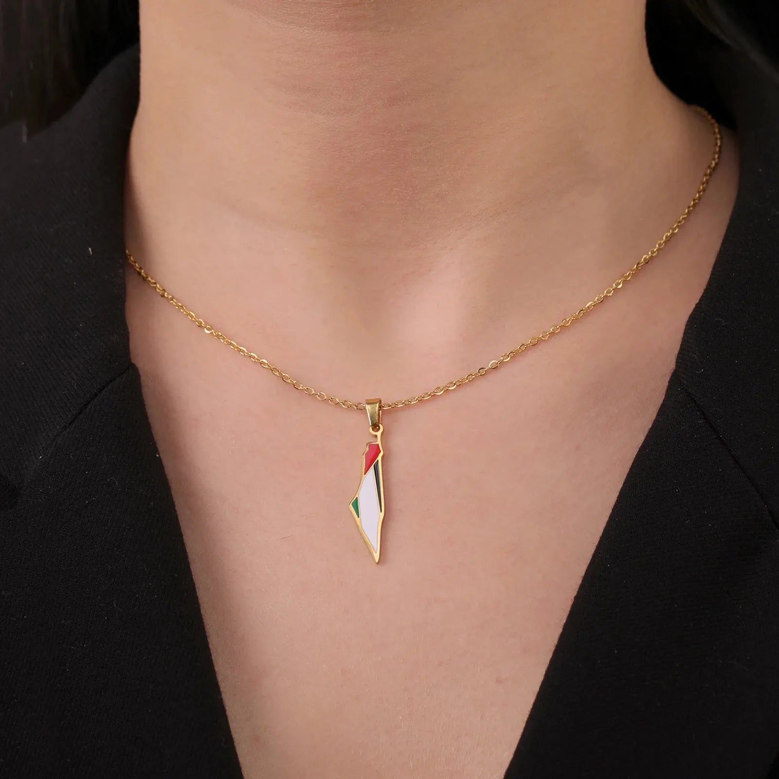 Lucktune Palestine Flag Map Enamel Pendant Necklace for Women Men Stainless Steel Map Geography Chain Necklace Jewelry Gift New