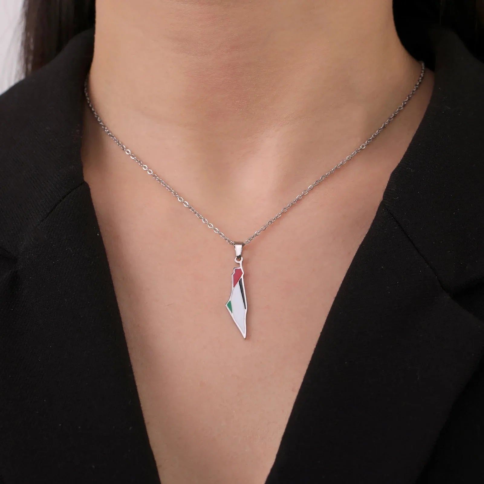 Lucktune Palestine Flag Map Enamel Pendant Necklace for Women Men Stainless Steel Map Geography Chain Necklace Jewelry Gift New