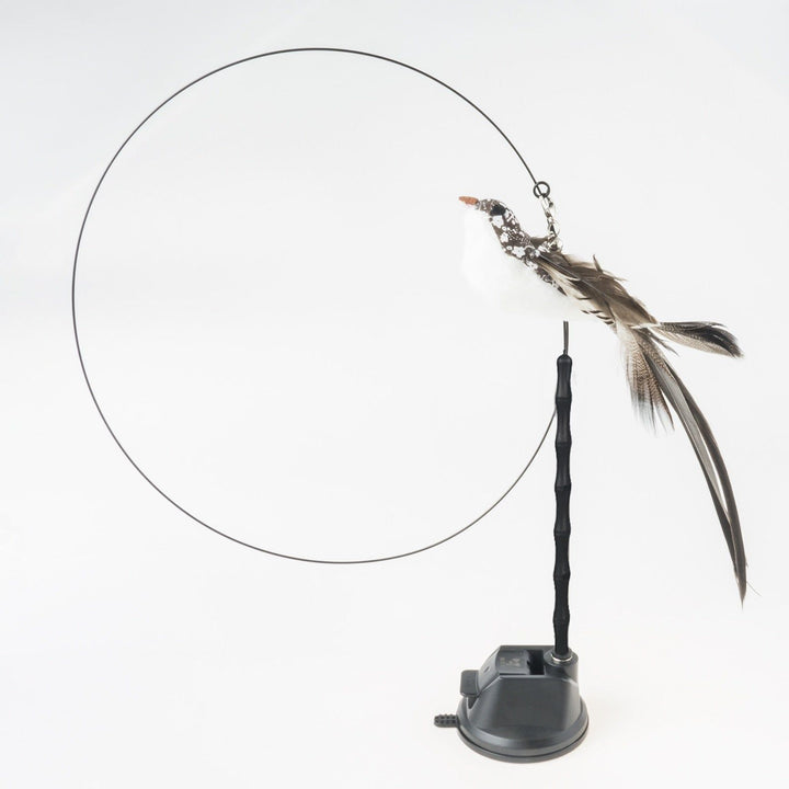 Handfree Bird/Feather Cat Wand with Bell Powerful Suction Cup Interactive Toys for Cats Kitten Hunting Exercise Pet Products - Jointcorp