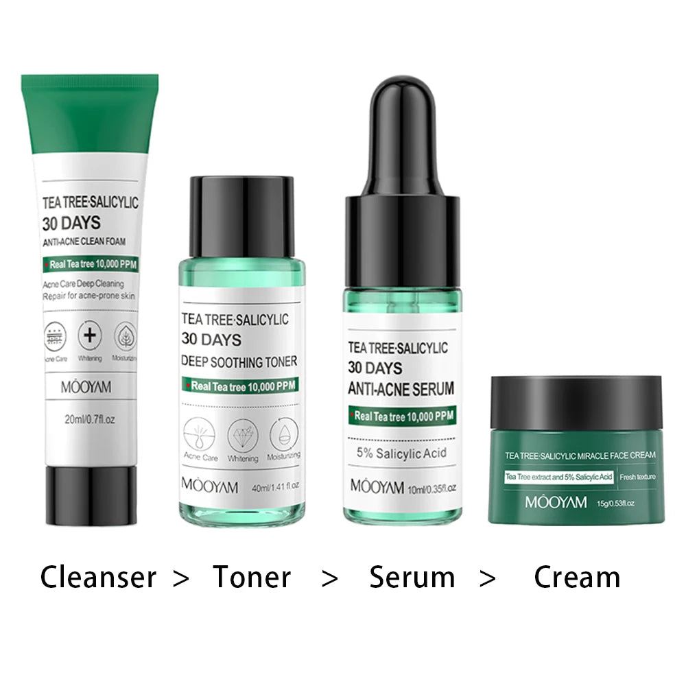 Tea Tree Salicylic Skincare Kit Facial Cleanser Toner Serum Hyaluronic Acid Cream Face Care Gift Set